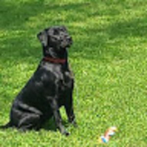 Meet your Posher, Sue